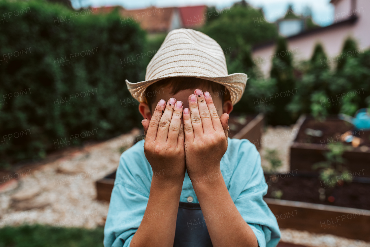 Young has dirty hands after gardening. Taking care of small vegetable plants in raised bed with bare hands. Hands in front of face. Childhood outdoors in garden.