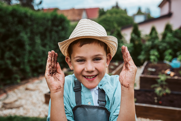 Young has dirty hands after gardening. Taking care of small vegetable plants in raised bed with bare hands. Childhood outdoors in garden.