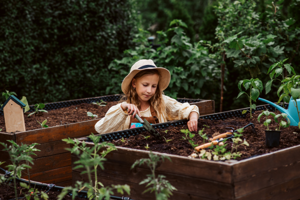 Young girl taking care of small vegetable plants in raised bed, holding small shovel. Childhood outdoors in garden.