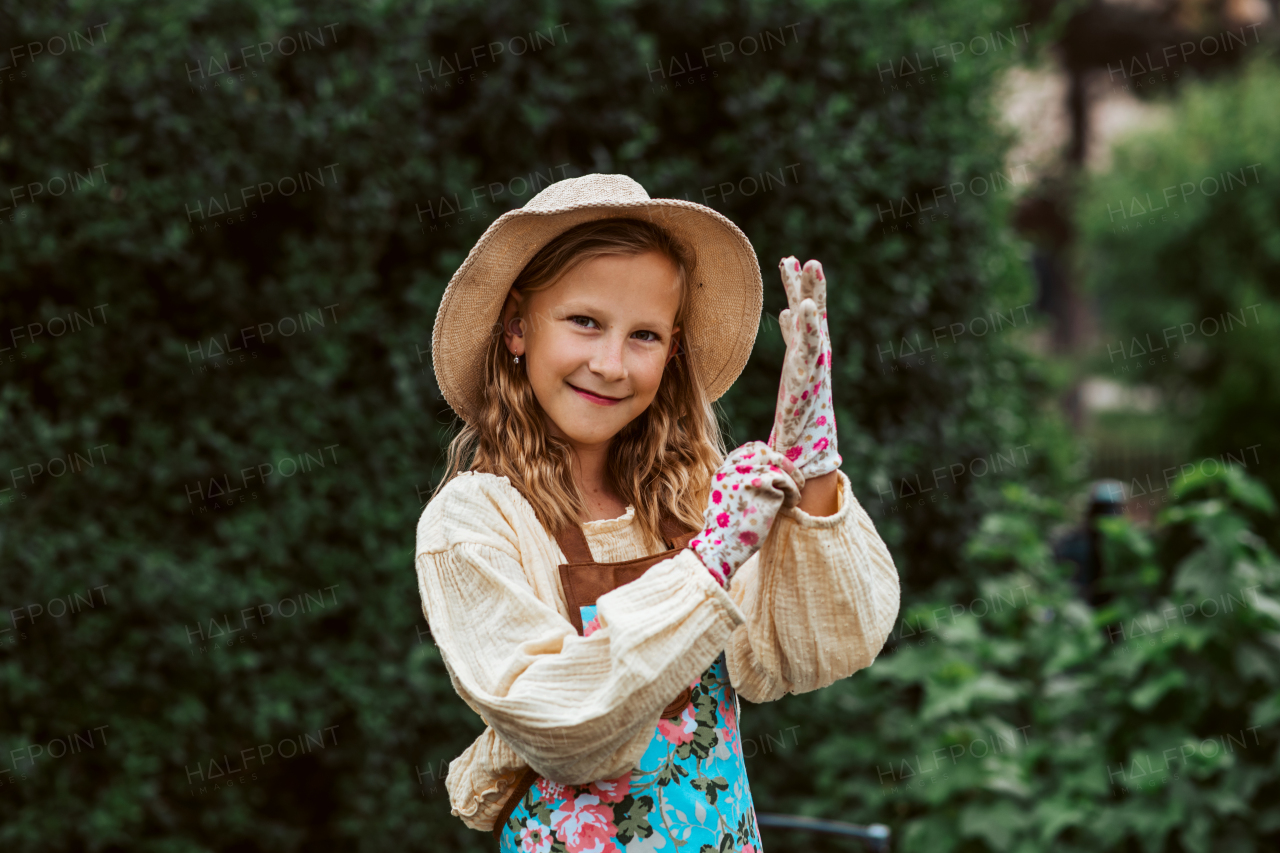 Portrait of girl putting gardening gloves on, taking care of small vegetable plants in raised bed. Childhood outdoors in garden.