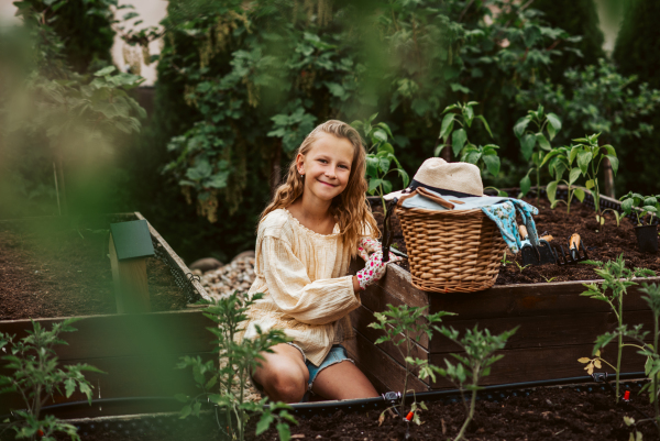 Portrait of young girl in gardening clothes taking care of small vegetable plants in raised bed. Childhood outdoors in garden.