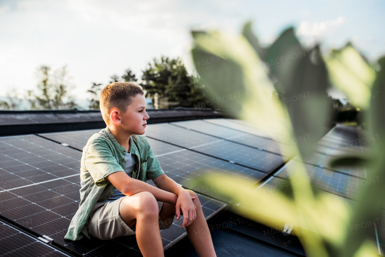 Cute boy sitting on roof with solar panels, looking at surrounding nature. Sustainable future for next generation concept.