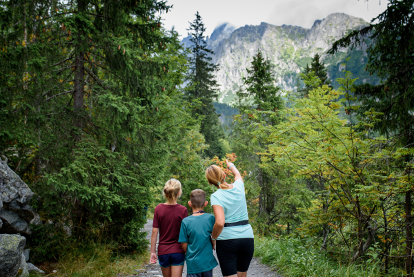 Grandmother with grandchildren on hike in autumn mountains. Kids spending summer break in nature with a family. Rear view