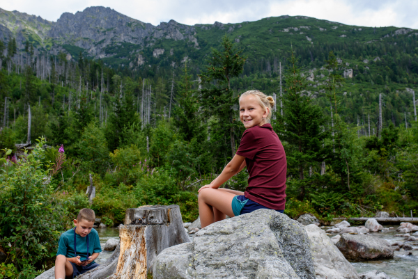 Siblings hiking together in autumn mountains, sitting on rocks and resting. Kids spending time, summer break in nature.