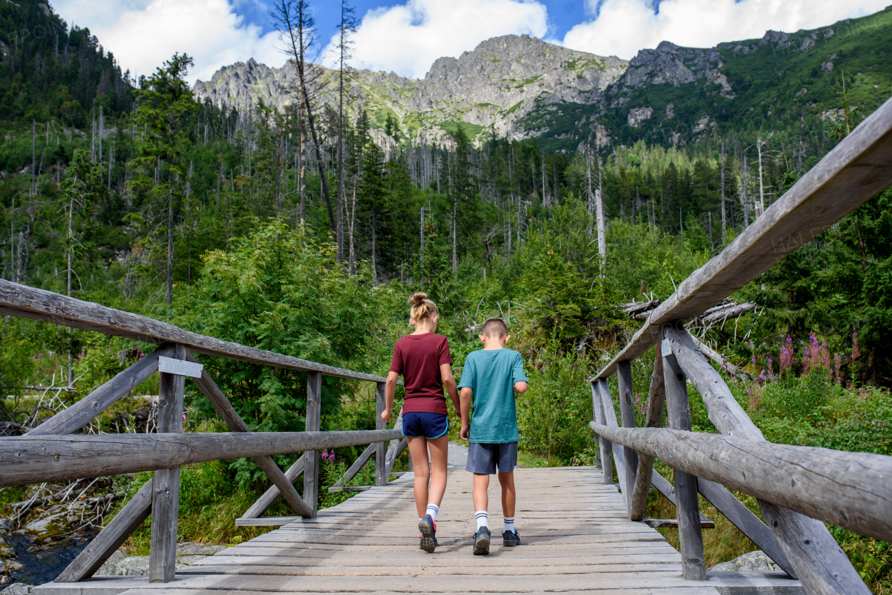 Siblings hiking together in autumn mountains. Kids spending time, summer break in nature.