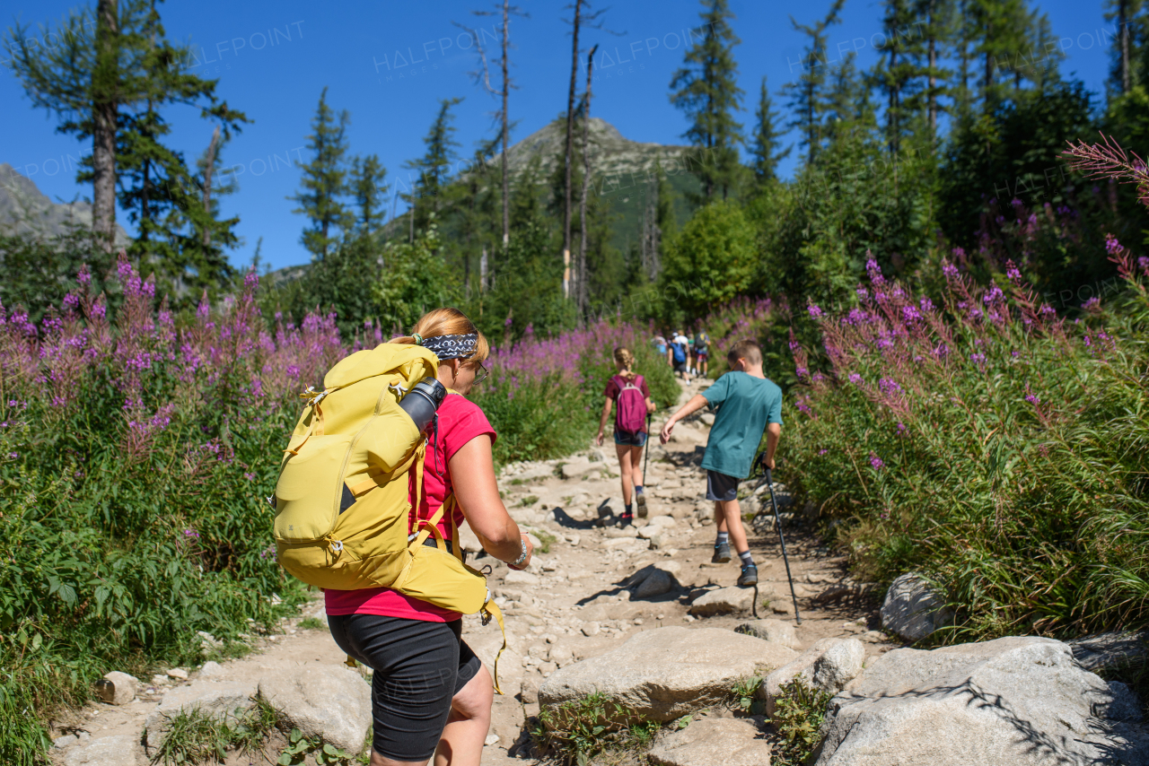 Grandmother with grandchildren on hike in autumn mountains. Kids spending summer break in nature with a family.