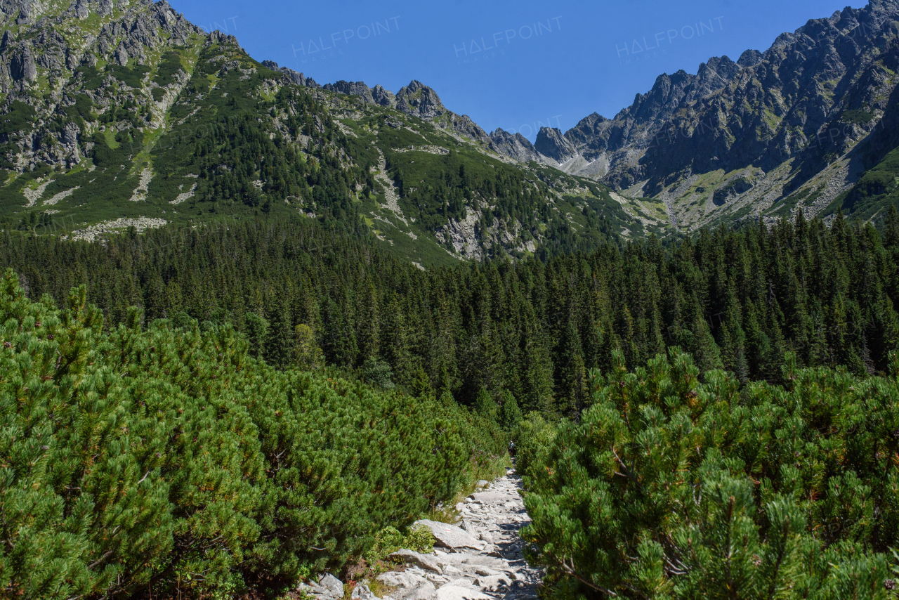 Hiking rocky trail in High Tatras.