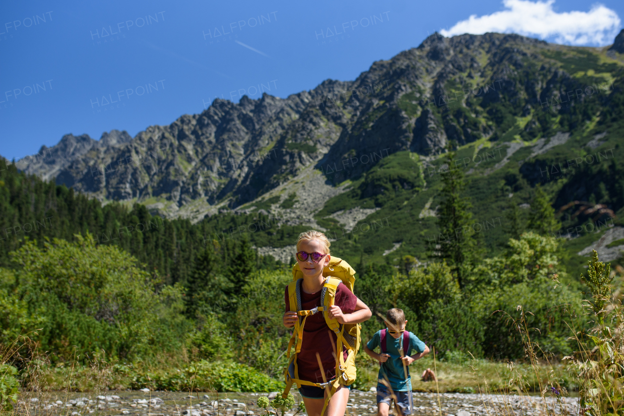 Siblings hiking together in autumn mountains. Kids spending time, summer break in nature.