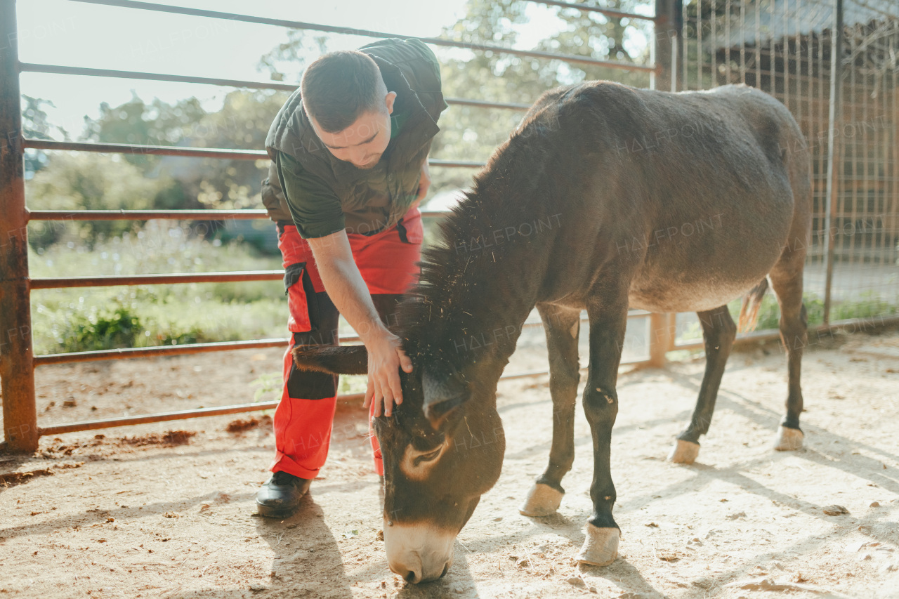 Caretaker with down syndrome taking care of animals in zoo, stroking a donkey. Concept of integration people with disabilities into society.