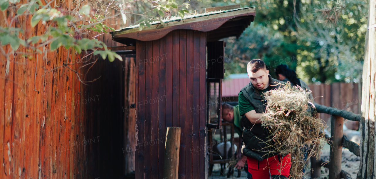 Caretaker with down syndrome in the zoo giving food in animal enclosure. Concept of integration people with disabilities into society.