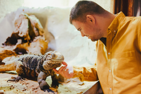 Caretaker with down syndrome taking care of animals in zoo, stroking an iguana. Concept of integration people with disabilities into society.