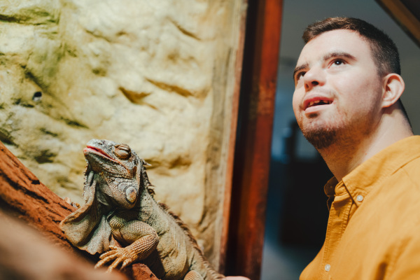 Caretaker with down syndrome taking care of animals in zoo, stroking an iguana. Concept of integration people with disabilities into society.