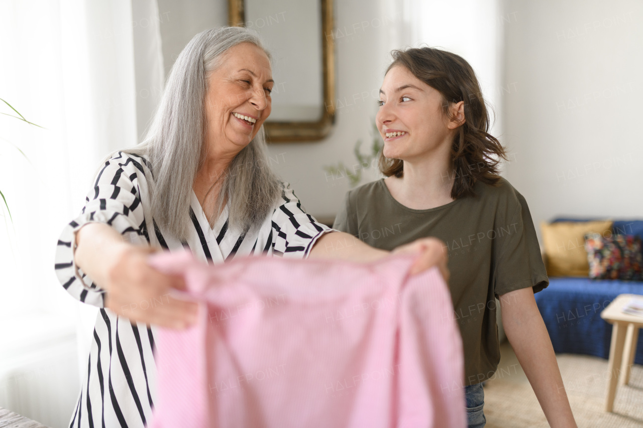 A teenage girl ironing and helping with household chores her senior grandmother at home