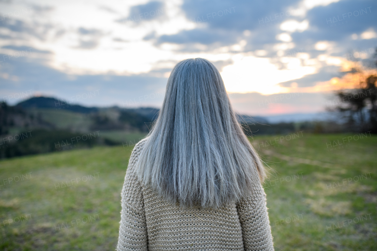 A rear view of senior woman with long grey hair at park on spring day