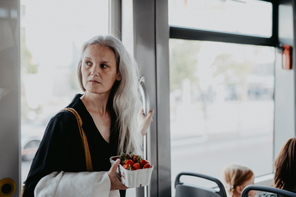 Portrait of a beautiful mature woman with long gray hair, traveling by bus. The mature woman is standing in the bus, holding the handrail and carrying a box of fresh strawberries.