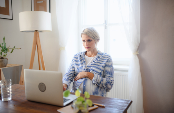 A pregnant woman having home office in the apartment.