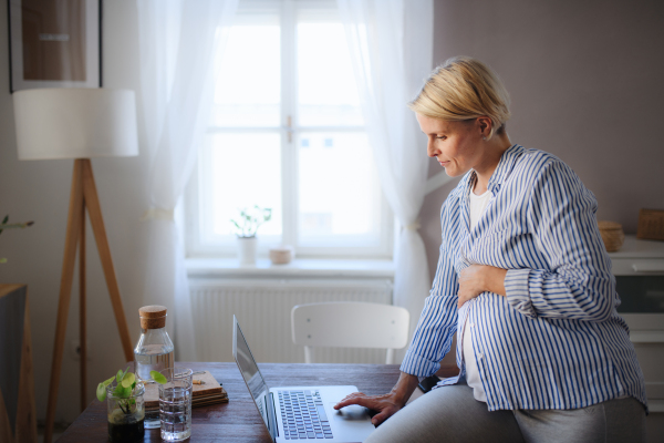 A pregnant woman having home office in the apartment.