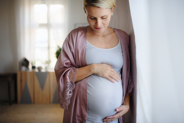 Pregnant woman stroking her belly and standing near the window.