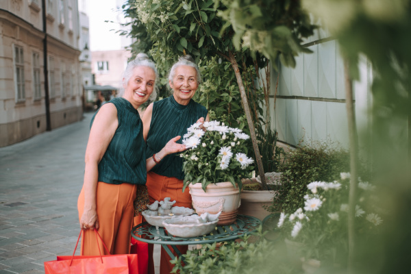 Senior women, twins, walking in a city and posing near flowers in flower shop, retourning from shopping.