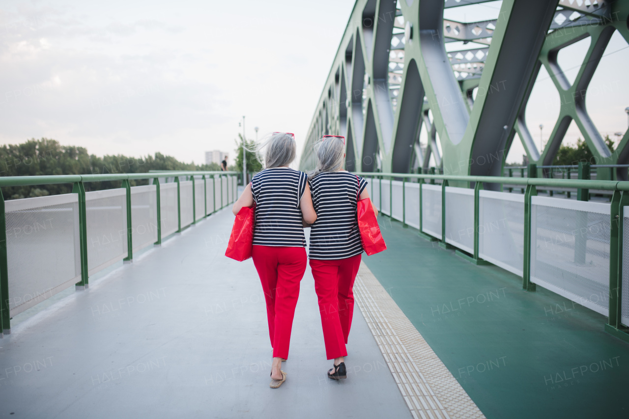 Rear view of senior twins in same clothes walking in a city, returning from shopping.