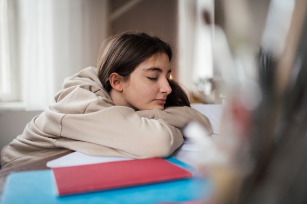 Teenage girl fall asleep during studying in the room.