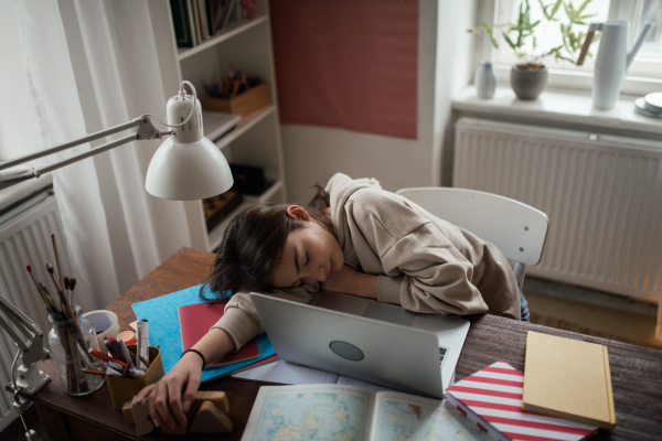 Young teenage girl studying and doing homework in her room.