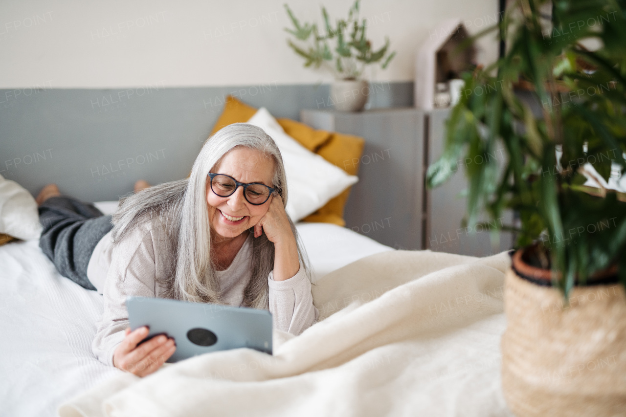 Senior woman spending her free time with a digital tablet.