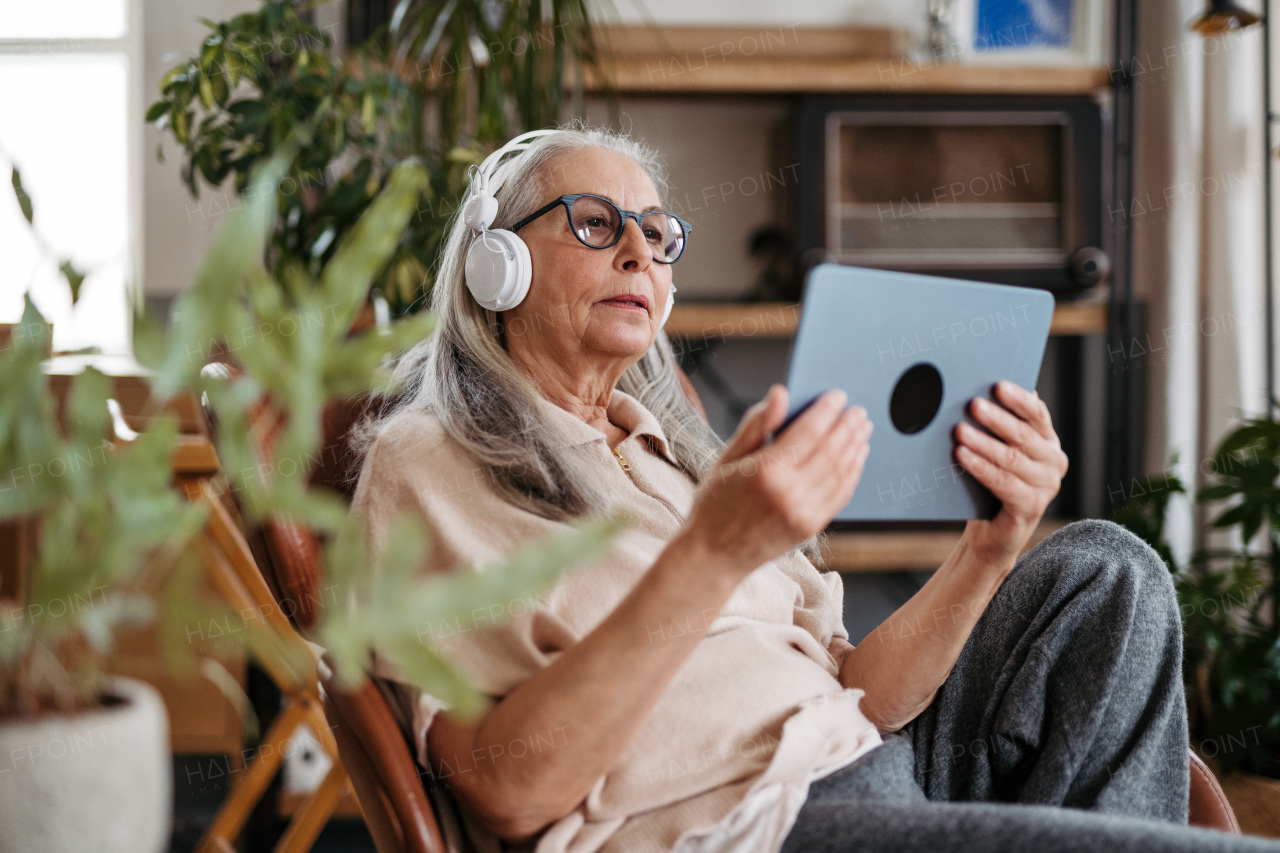 Senior woman spending her free time with a digital tablet.