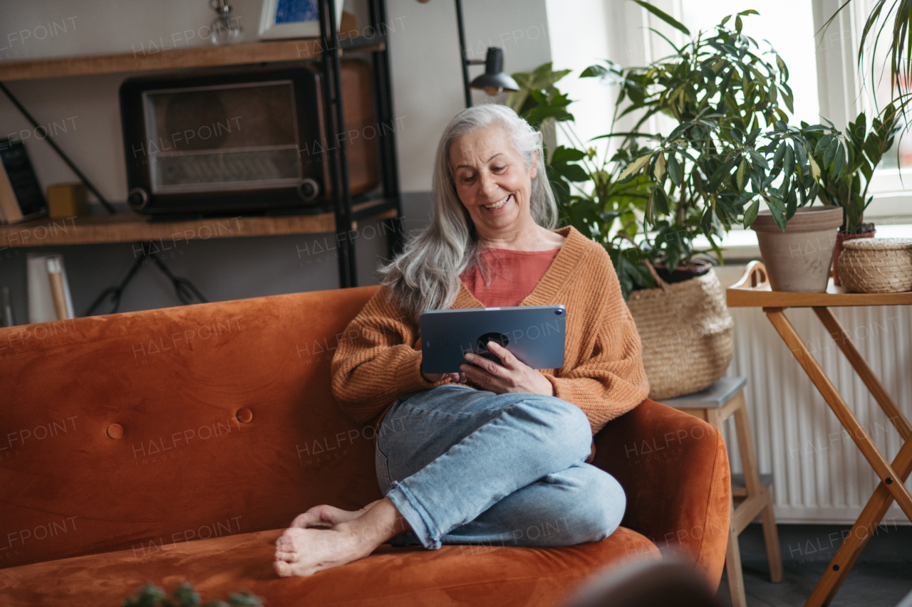 Senior woman spending her free time with a digital tablet.