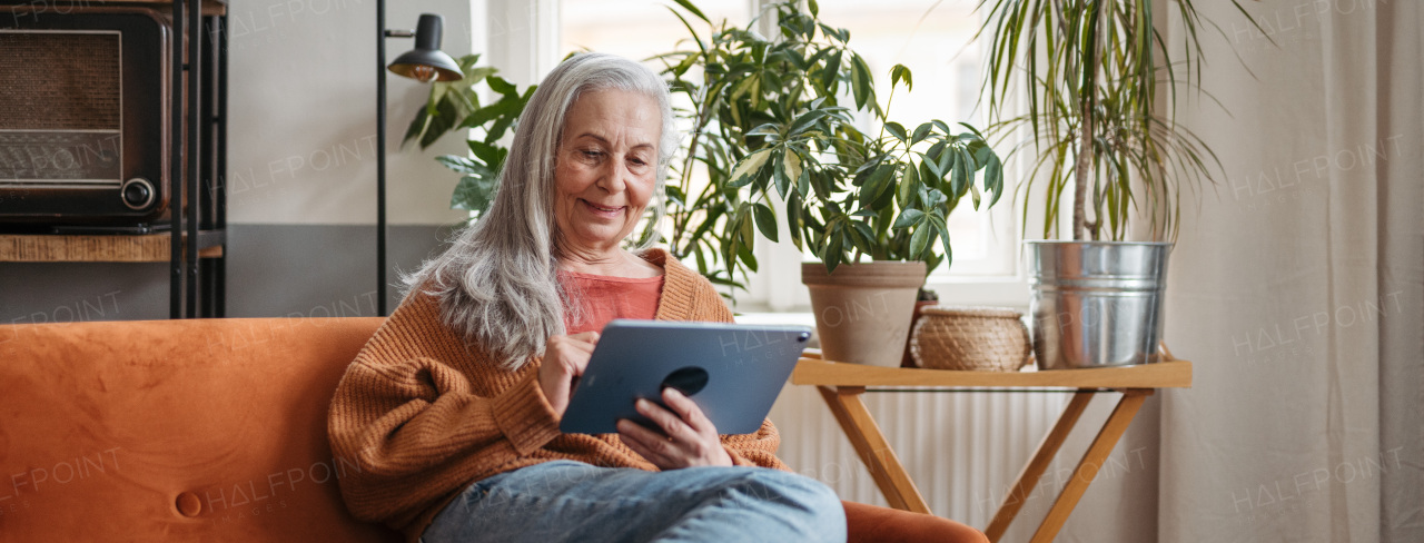 Senior woman spending her free time with a digital tablet.