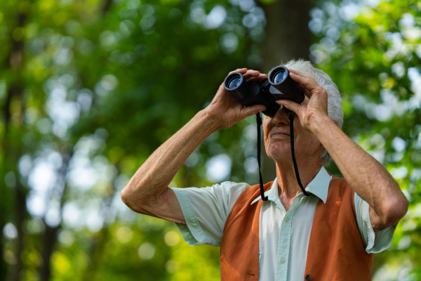 Senior man spending free time outdoors in nature, watching forest animals through binoculars. A retired forest ranger feeling at home in forest, monitoring wildlife and ecological changes.