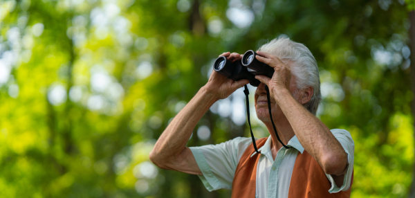 Senior man spending free time outdoors in nature, watching forest animals through binoculars. A retired forest ranger feeling at home in forest, monitoring wildlife and ecological changes. Banner with copy space.