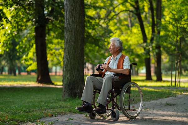 Senior man in wheelchair spending his free time outdoors in nature, watching forest animals through binoculars.