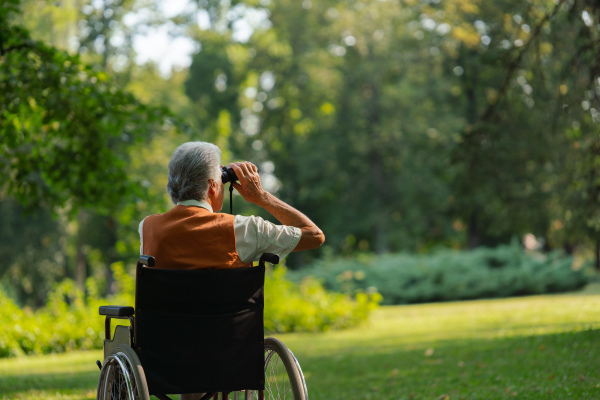 Rear view of senior man in wheelchair spending free time outdoors in nature, watching forest animals through binoculars. A retired forest ranger feeling at home in forest, monitoring wildlife and ecological changes.