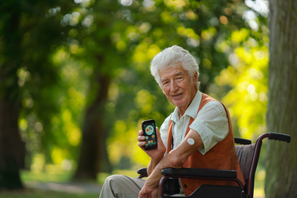 Senior diabetic man in wheelchair checking his glucose data on smartphone. Diabetic senior using continuous glucose monitor to check blood sugar level.