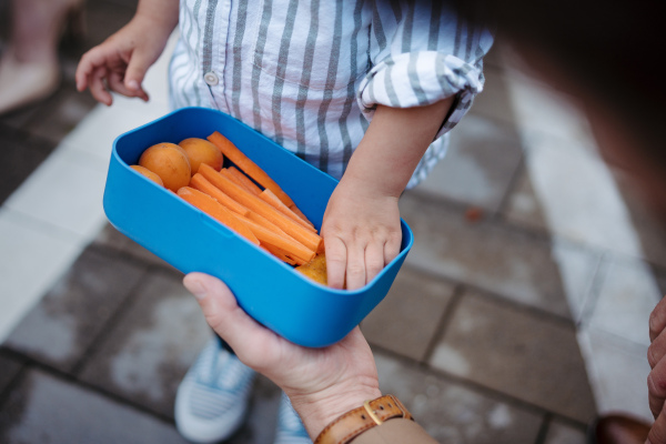 Pieces of raw chopped carrots and apricots in lunch box. Mother holding healty snack for her children. Eating outdoors on a park bench.