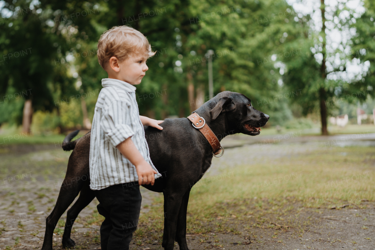 Little boy standing with his big dog in the park. Beautiful relationship between young kid and dog best friend.