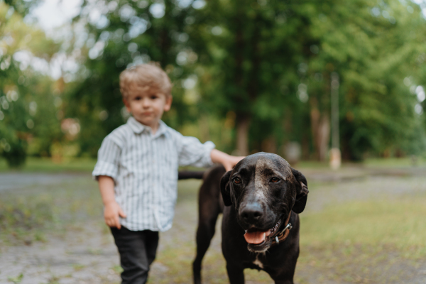 Little boy standing with his big dog in the park. Beautiful relationship between young kid and dog best friend.