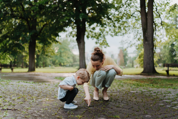 Single mother with little son spending together time in a public park. Working parent spending time with son after work day. Mother showing an insect on a pavement.