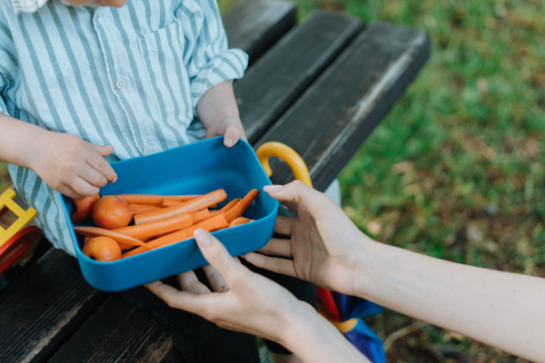 Pieces of raw chopped carrots and apricots in lunch box. Mother holding healty snack for her children. Eating outdoors on a park bench.