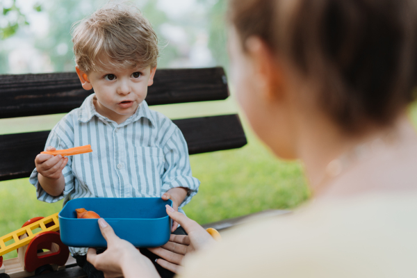 Cute little boy eating chopped carrots from lunch box, sitting on a park bench. Mother holding healty snack for her children. Eating outdoors in city park.