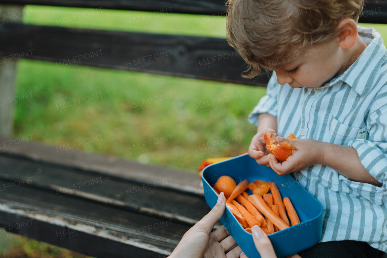 Cute little boy eating apricot from lunch box, sitting on a park bench. Mother holding healty snack for her children. Eating outdoors in city park.