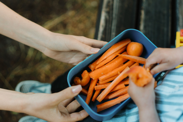 Pieces of raw chopped carrots and apricots in lunch box. Mother holding healty snack for her children. Eating outdoors on a park bench.