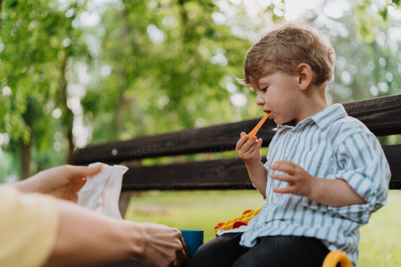 Cute little boy eating chopped carrots from lunch box, sitting on a park bench. Mother holding healty snack for her children. Eating outdoors in city park.