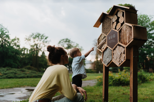 Mom showing her playful son an insect hotel in public park. A little boy examining bug hotel, looking for bugs, ladybugs or butterflies.