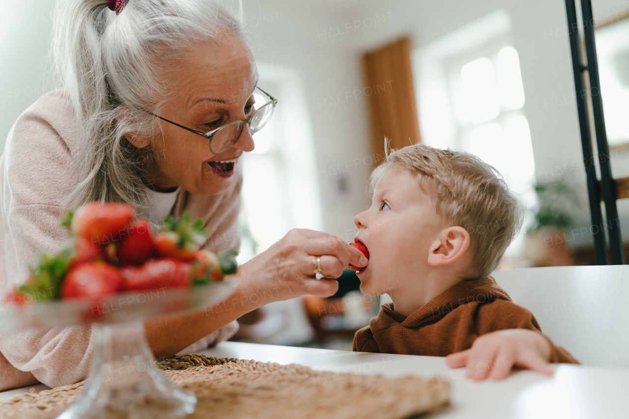 Grandmother giving homegrown strawberries to her grandson.