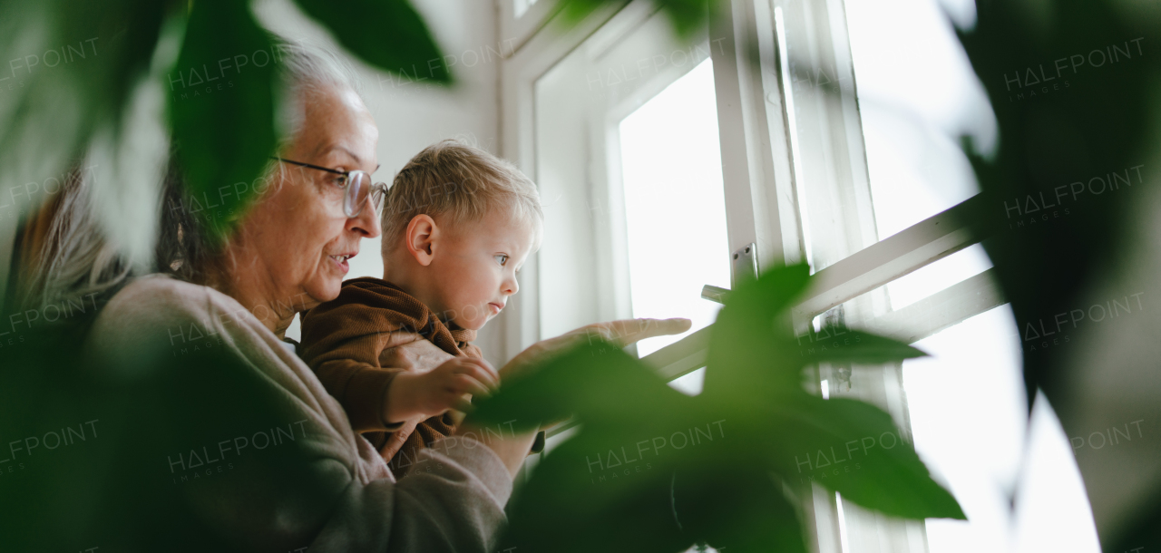 Grandmother with her little grandson looking out of window.