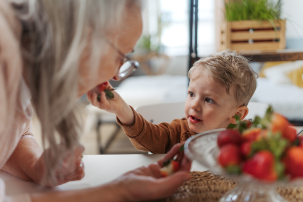 Little boy giving strawberries to his grandmother.