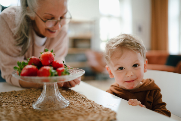 Grandmother giving homegrown strawberries to her grandson.