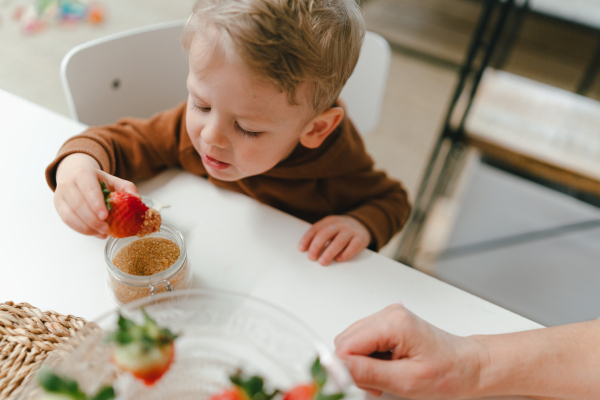 Little child eating homegrown strawberries with brown sugar.